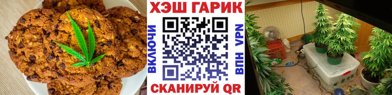 MEGA рабочий сайт  Новомичуринск  Cannafood конопля  купить  